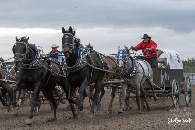 🐎🔥 Day 4 and we’re STILL ROLLIN’!

The Battle of the Rockies – WPCA Finals is in full swing and Day 4 is set to bring even more action, excitement, and hometown pride to the track!

🎟️ There’s still time to grab your tickets at Henry’s Western Wear, Scotiabank, or call/text (403) 845-0591

📍 North Saskatchewan River Park
⏰ Races start at 7PM sharp — don’t miss a minute!

🍔 Local vendors are serving up amazing eats
🛍️ Shop and support small businesses
🍻 Beer gardens will be filled with good times and great vibes

Whether it’s your first night or your fourth there’s nothing like the sound of those wagons rolling and the crowd roaring.

📣 Let’s pack the stands and show ‘em what Rocky is made of!

📸 @shellie.scott 

#DiscoverRocky #BattleOfTheRockies #WPCAFinals #ChuckwagonRaces #WhereAdventureBegins #TravelAlberta @wpcachucks