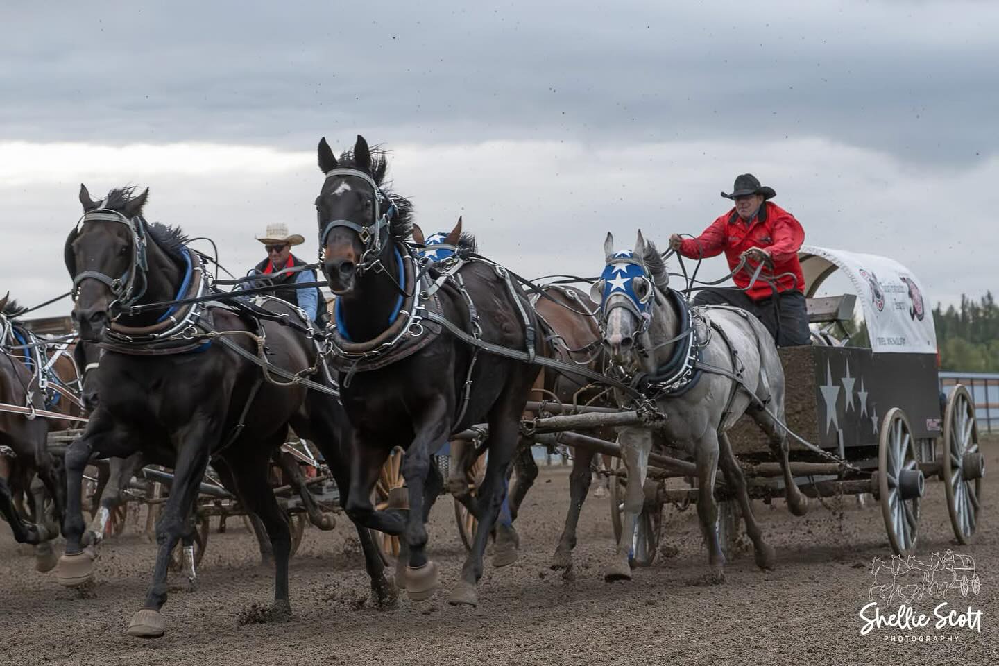 🐎🔥 Day 4 and we’re STILL ROLLIN’!

The Battle of the Rockies – WPCA Finals is in full swing and Day 4 is set to bring even more action, excitement, and hometown pride to the track!

🎟️ There’s still time to grab your tickets at Henry’s Western Wear, Scotiabank, or call/text (403) 845-0591

📍 North Saskatchewan River Park
⏰ Races start at 7PM sharp — don’t miss a minute!

🍔 Local vendors are serving up amazing eats
🛍️ Shop and support small businesses
🍻 Beer gardens will be filled with good times and great vibes

Whether it’s your first night or your fourth there’s nothing like the sound of those wagons rolling and the crowd roaring.

📣 Let’s pack the stands and show ‘em what Rocky is made of!

📸 @shellie.scott 

#DiscoverRocky #BattleOfTheRockies #WPCAFinals #ChuckwagonRaces #WhereAdventureBegins #TravelAlberta @wpcachucks
