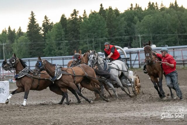 🔥🐎 DAY 3 — LET’S GO, ROCKY!

The dust/mud is flying, the crowds are wild, and the action keeps getting better! It’s Day 3 of the Battle of the Rockies – WPCA Finals and the adrenaline is still pumping!

🎟️ If you haven’t made it down yet, this is your sign! Tickets are still available at Henry’s Western Wear, Scotiabank, or call/text (403) 845-0591.

Tonight’s lineup:
🏁 More thundering chuckwagon races
🍔 Local food vendors bringing the flavour
🎉 Beer gardens, shopping, and trick riders keeping the energy high

📍 North Saskatchewan River Park | ⏰ Races start at 7PM | Pre show starts at 6PM

Tag your crew and let’s pack the stands! This is what summer in Rocky is all about 💥

📸 @shellie.scott 

#BattleOfTheRockies #Day3 #ChuckwagonRaces #WPCAFinals #DiscoverRocky #WhereAdventureBegins